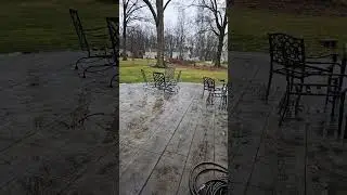 Ohio Rain dogs didn't come out