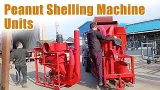 Automatic Peanut Shelling Machine for Commercial Use #peanut #groundnut #farming