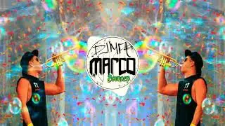 Timmy trumpet freak remix electro