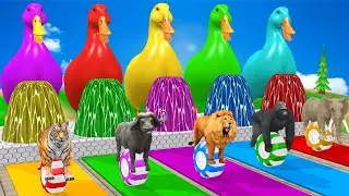 Long Slide Game With Elephant Gorilla Lion Buffalo Tiger- 3d Animal Game - Funny 3d Animals