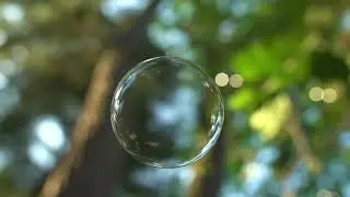 Copyright Free Nature Videos Beachfront B Roll Floating Soap Bubble Free Use HD Stock Video Footage