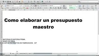 Presupuesto Maestro Parte 2