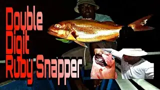 11&5kg Ruby Snapper | Night Fishing | SlowJigging | Bait&Wait