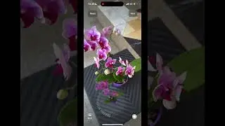 Boost Online Shop Sales with 3D Scanning & AR QR Codes | ar-code.com