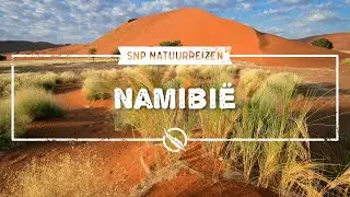 Rondreis door Namibi&euml; | SNP Natuurreizen