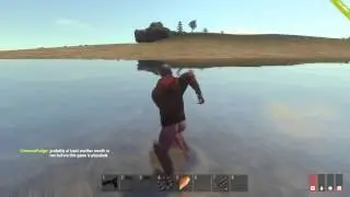 Rust - experimental server