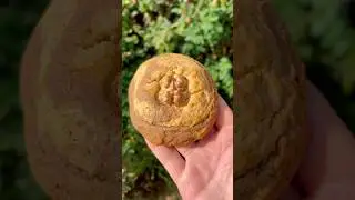 The Best Maple Cookie Recipe 🤤 #yummy #recipe #autumnbaking #fallbaking #easyrecipe #cookierecipes
