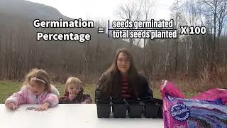 How to calculate seed germination percentage