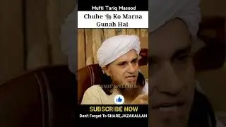 Kya Chuhe Ko Marna Gunah Hai? Mufti Tariq Masood| #Shorts