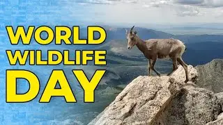 World Wildlife Day