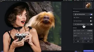 How You Should Use Photo AI as a Standalone App