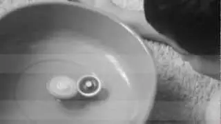 E&D'S TOY SHOW :BEYBLADE BATTLE FAIL!!!!!!!!!