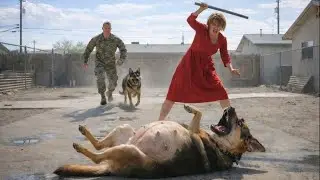 She Tried to Kill a Pregnant Dog &mdash; Ignoring a Navy SEAL&rsquo;s Dog Heard the Cry for Help