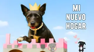 ¡LANA es una PRINCESA en su NUEVO CASTILLO! 😍¡pero luego PASA ESTO!