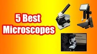 5 Best Microscopes 2018