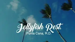 Jellyfish Restaurant, Punta Cana R.D.