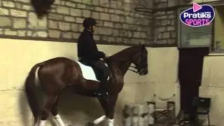 Equitation - Le cheval sur la main