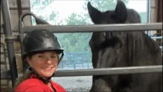 The1DrQ is live taking Christmas pictures of the ResqRanch animals!