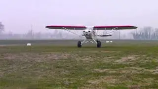Savage Cub S