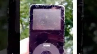 gadget insurance