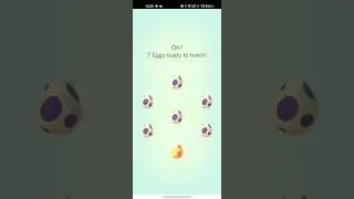 I got Rarest pokemon in egg hatch in Pokemon go 😲