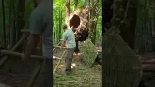 building tree house 🏡🏡 #bildung #house #survival #shots