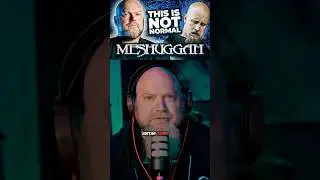 Meshuggah's Guitars Are NUTS