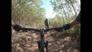 Tokai Snake Trails - Mamba and Boomslang
