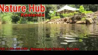 Nature Hub  Koslanda