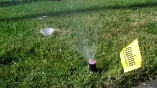 Irrigation Audit With Catch-Cans