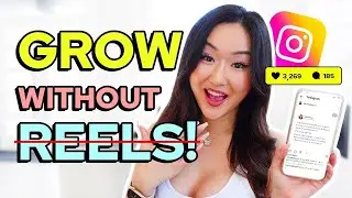 How to Grow Organically WITHOUT Instagram Reels!