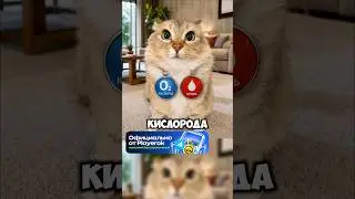 Коротко по делу № 25 #котики #кот #веселыекоты #интересныефакты