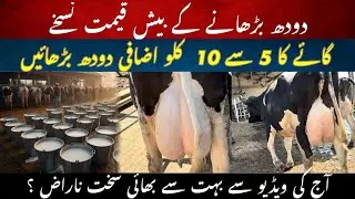 Best way to increase milk II 5 to 10 Liter milk increase II Recipes to increase milk I Dr. MUZZAMMIL