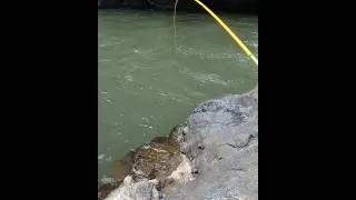 mancing melem atau nilem dengan teknik nutul di arus deras 10