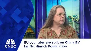 EU countries are split on China EV tariffs: Hinrich Foundation