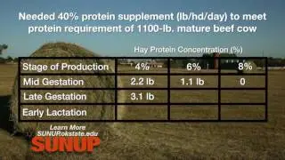 Cow-Calf Corner: How Much Protein Supplement is Needed with Hay?   (10/22/16)