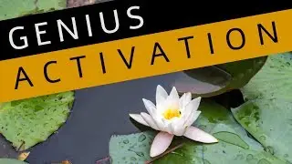 Genius Activation |  DNA Upgrade | FLOW, ABUNDANCE, INNOVATION | Guided Meditation