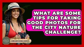 What Are Some Tips For Taking Good Photos For The City Nature Challenge? - Bird Watching Diaries