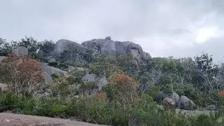 Mt Norman Hike. Girraween National Park
