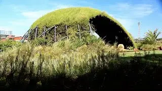 In the Age Of Adaptation
