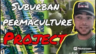 We Bought a House! Our Urban Permaculture Plan Begins
