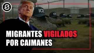 Migrantes serían COMIDOS por COCODRILOS en Alligator Alcatraz, PRISIÓN de Trump | Reportaje