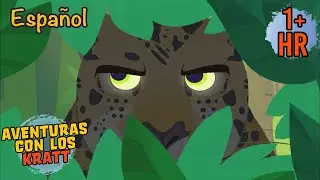 Criaturas de la selva tropical | Episodios completos | Aventuras con los Kratt