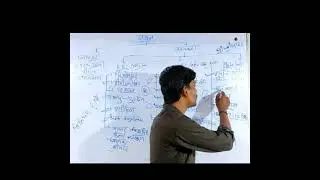 Dangu short || Education dot com #shorts