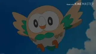 rowlet lookin a bit xatu