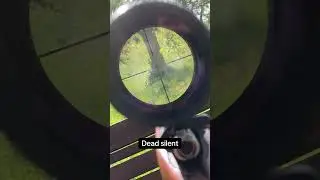150m plinking, subsonic and silenced #22longrifle #222 #airsoft #sniper #plinking #rifle #subsonic