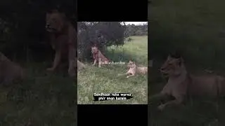bura na maano holi ha dub.chachu 🤣🤣🤣🤣 #viral #trending #popular #funny #shorts #instagram