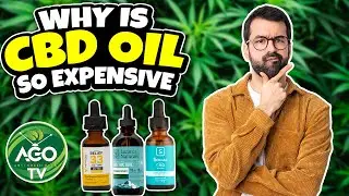 Why is CBD Oil so expensive?| Why CBD Oil is expensive? | CBD Oil | Expensive |Anti Green Odor TV