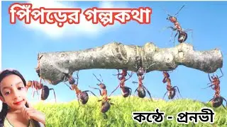Bengali audio story । বাংলা গল্প। Bengali Golpo । New Moral Story । Fairy Tales @worldofpranavi