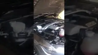 Ford Mustang GT 2016 fitted with Ford Performance Stage 2 Power Pack with Borla Atak start and revs